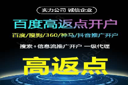百度SEO与广告结合的多元化推广策略——多行业成功案例